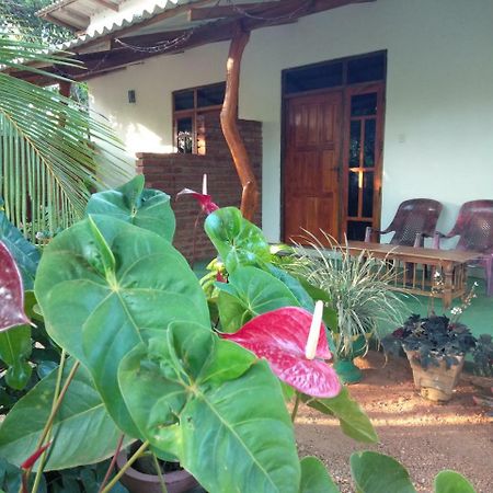 Amaya River Side Homestay Сигирия Екстериор снимка