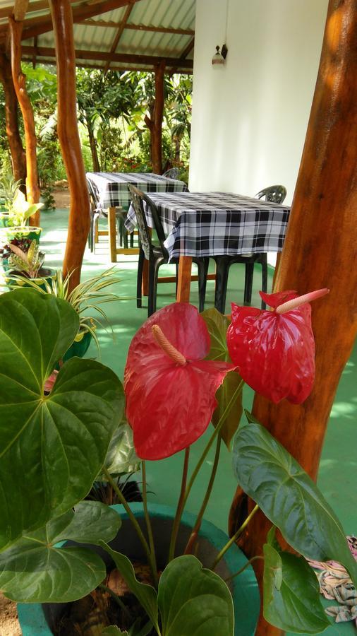 Amaya River Side Homestay Сигирия Екстериор снимка