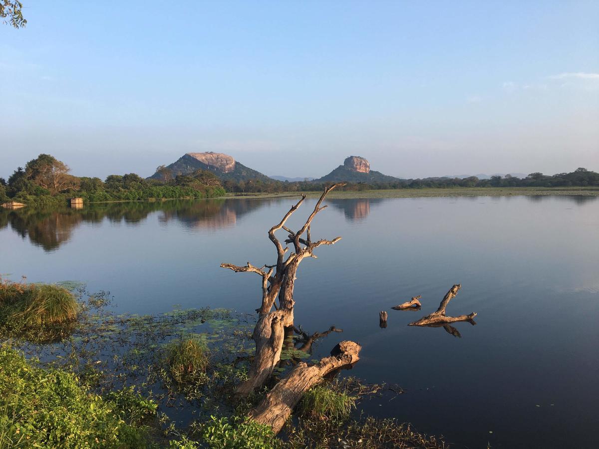 Amaya River Side Homestay Сигирия Екстериор снимка