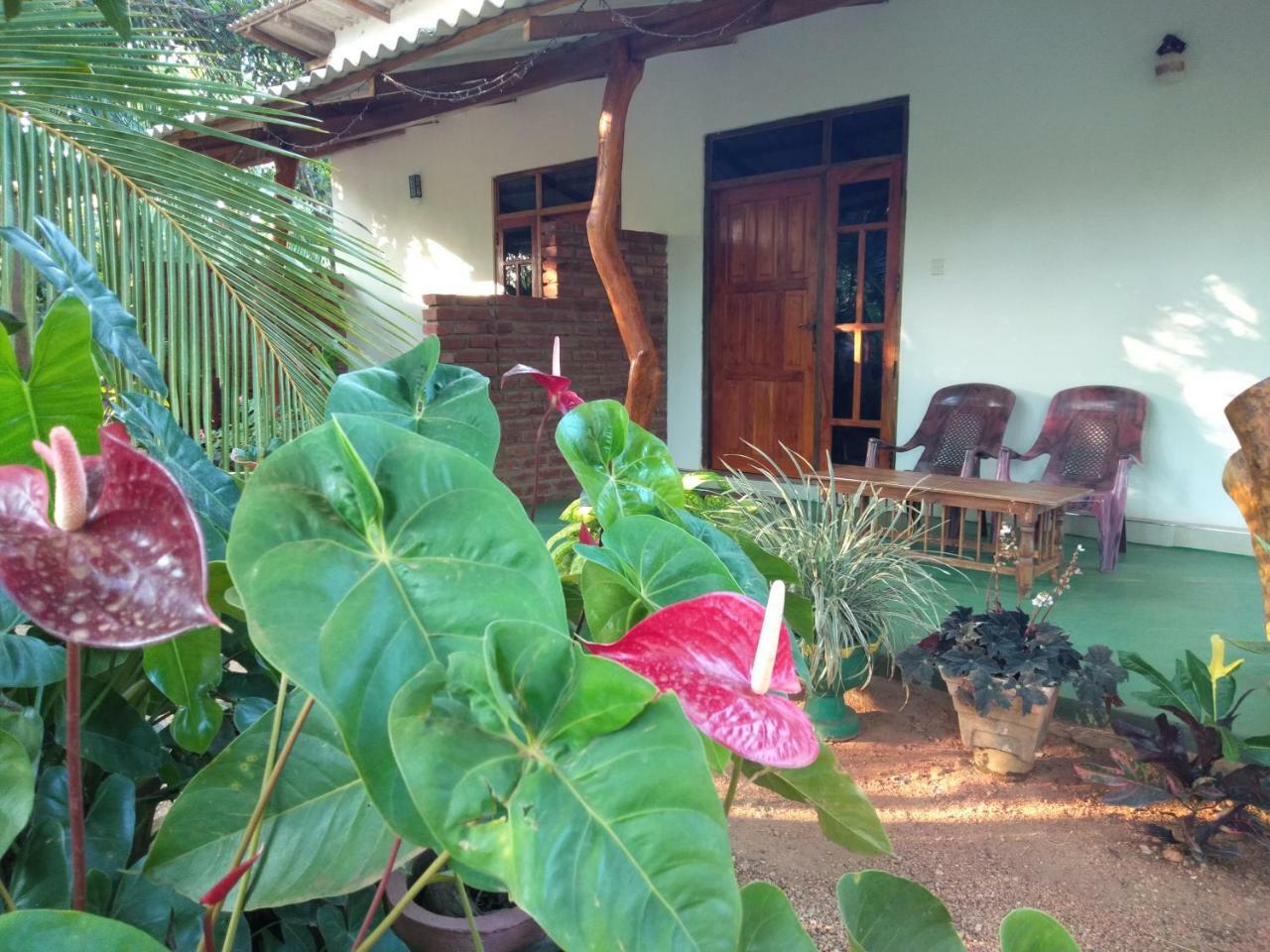 Amaya River Side Homestay Сигирия Екстериор снимка